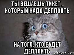 ты вешаешь тикет , который надо деплоить на того, кто будет деплоить, Мем  удивлённый кот