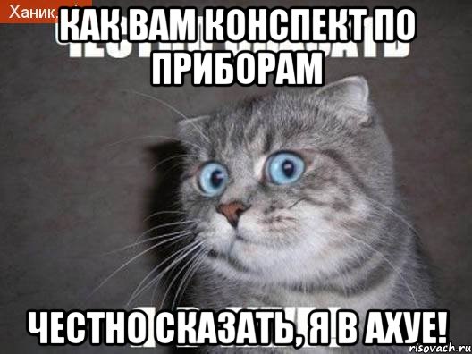 Как вам конспект по приборам Честно сказать, я в ахуе!, Мем  удивлённый кот