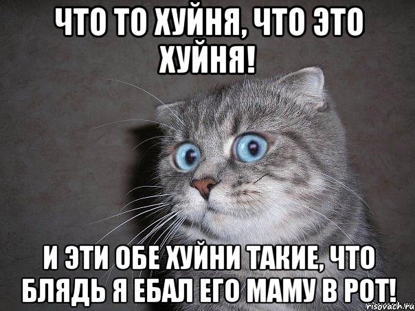 Что то хуйня, что это хуйня! И эти обе хуйни такие, что блядь я ебал его маму в рот!