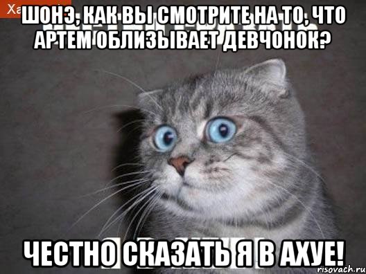 Шонэ, как вы смотрите на то, что Артем облизывает девчонок? Честно сказать я в ахуе!