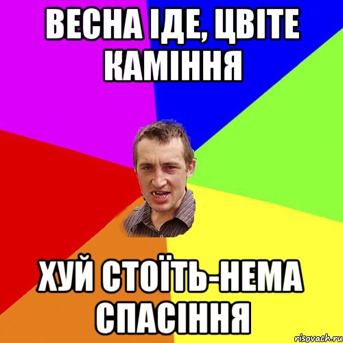 Весна іде, цвіте каміння Хуй стоїть-нема спасіння, Мем Чоткий паца