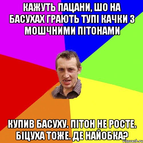 кажуть пацани, шо на басухах грають тупі качки з мошчними пітонами купив басуху. пітон не росте. біцуха тоже. де найобка?, Мем Чоткий паца