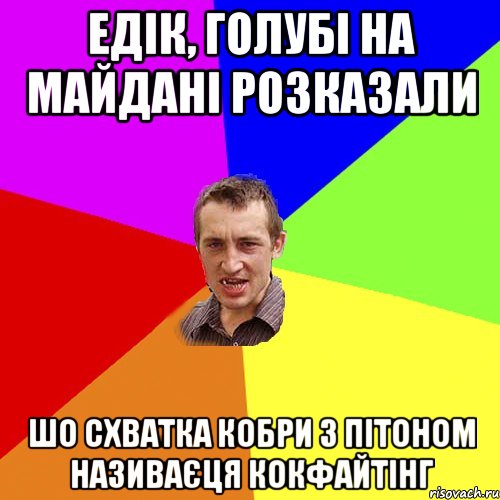 ЕДІК, ГОЛУБІ НА МАЙДАНІ РОЗКАЗАЛИ ШО СХВАТКА КОБРИ З ПІТОНОМ НАЗИВАЄЦЯ КОКФАЙТІНГ, Мем Чоткий паца