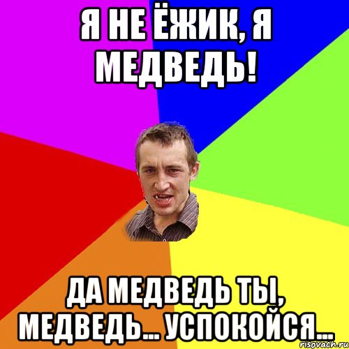 Я не ёжик, я медведь! да медведь ты, медведь... успокойся..., Мем Чоткий паца