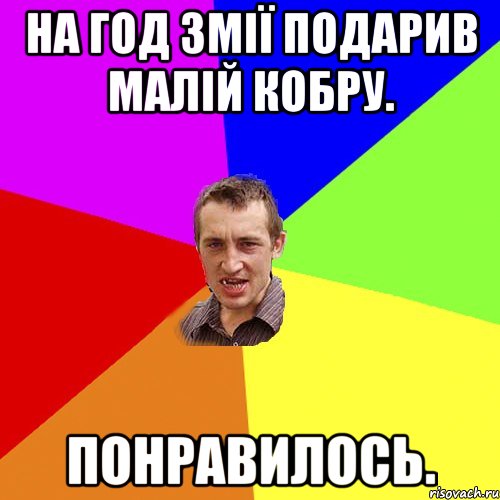 на год змії подарив малій кобру. понравилось., Мем Чоткий паца