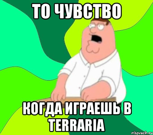 То чувство Когда играешь в terraria