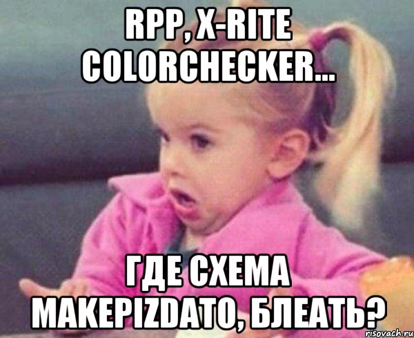 RPP, X-Rite ColorChecker... Где схема makepizdato, блеать?, Мем  Ты говоришь (девочка возмущается)