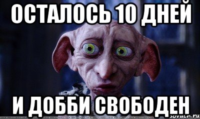 Осталось 10 дней И Добби свободен