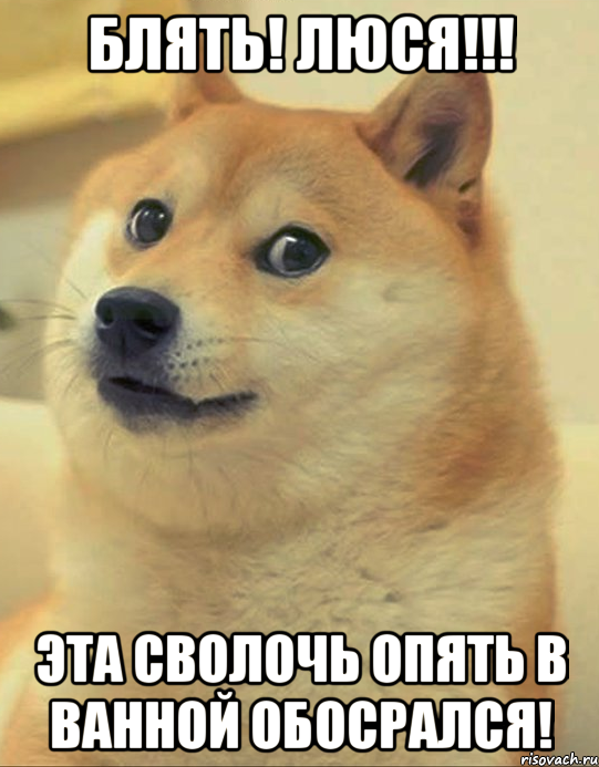 БЛЯТЬ! Люся!!! Эта сволочь опять в ванной обосрался!, Мем doge woof