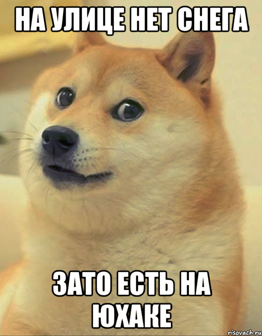 На улице нет снега Зато есть на юхаке, Мем doge woof