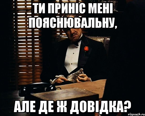 Ти приніс мені пояснювальну, Але де ж довідка?, Мем Дон Вито Корлеоне