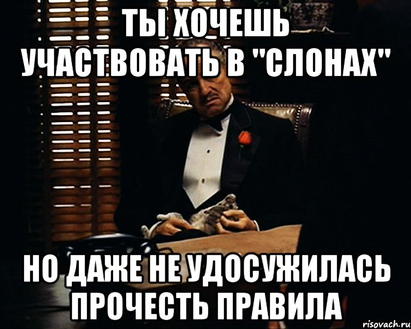 Ты хочешь участвовать в "Слонах" Но даже не удосужилась прочесть правила, Мем Дон Вито Корлеоне