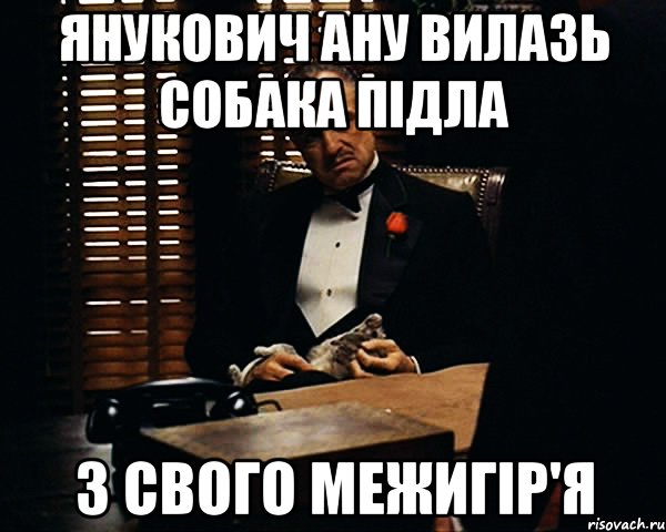 ЯНУКОВИЧ АНУ ВИЛАЗЬ СОБАКА ПІДЛА З СВОГО МЕЖИГІР'Я, Мем Дон Вито Корлеоне