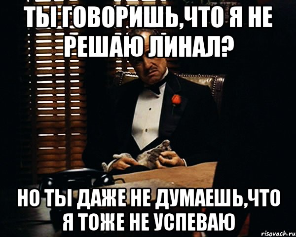 ты говоришь,что я не решаю линал? но ты даже не думаешь,что я тоже не успеваю, Мем Дон Вито Корлеоне