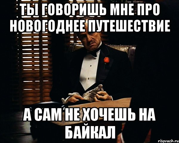 Ты говоришь мне про новогоднее путешествие а сам не хочешь на байкал, Мем Дон Вито Корлеоне