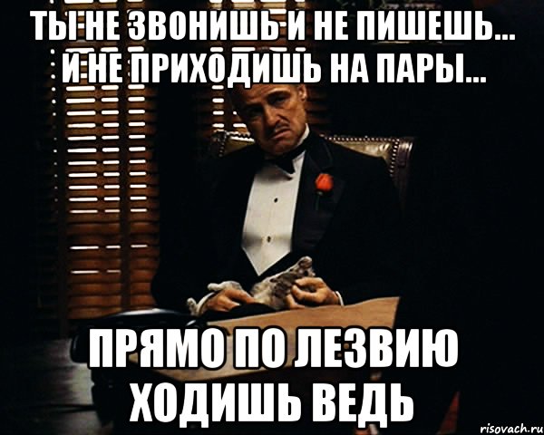 Ты не звонишь и не пишешь... И не приходишь на пары... Прямо по лезвию ходишь ведь, Мем Дон Вито Корлеоне