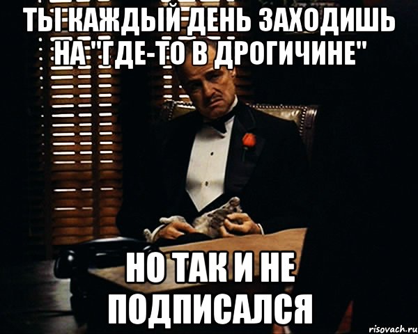 Ты каждый день заходишь на "Где-то в Дрогичине" но так и не подписался, Мем Дон Вито Корлеоне