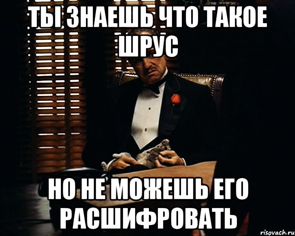 ты знаешь что такое шрус но не можешь его расшифровать, Мем Дон Вито Корлеоне