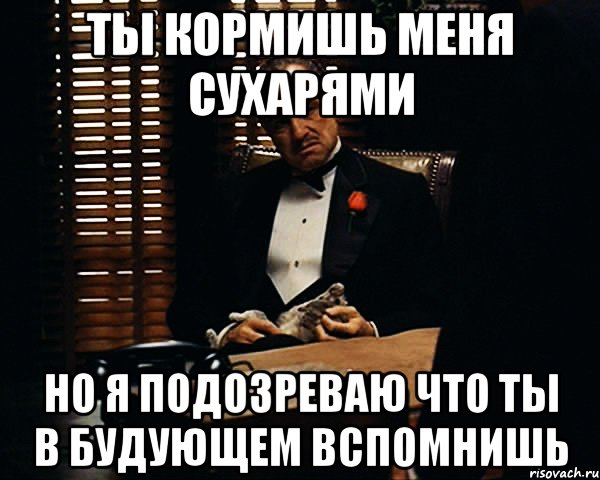 Ты кормишь меня сухарями Но я подозреваю что ты в будующем вспомнишь, Мем Дон Вито Корлеоне