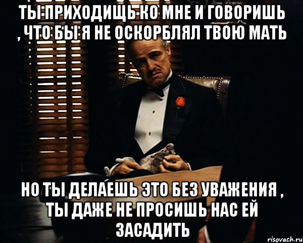 ты приходищь ко мне и говоришь , что бы я не оскорблял твою мать но ты делаешь это без уважения , ты даже не просишь нас ей засадить, Мем Дон Вито Корлеоне