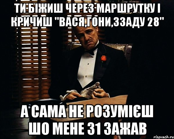 ти біжиш через маршрутку і кричиш "Вася,гони,ззаду 28" а сама не розумієш шо мене 31 зажав, Мем Дон Вито Корлеоне