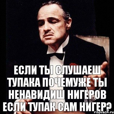 Если ты слушаеш Тупака почемуже ты ненавидиш нигеров если Тупак сам нигер?