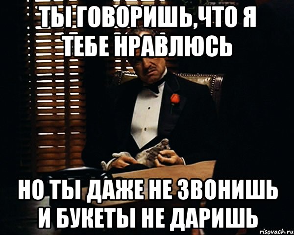 Ты говоришь,что я тебе нравлюсь но ты даже не звонишь и букеты не даришь, Мем Дон Вито Корлеоне