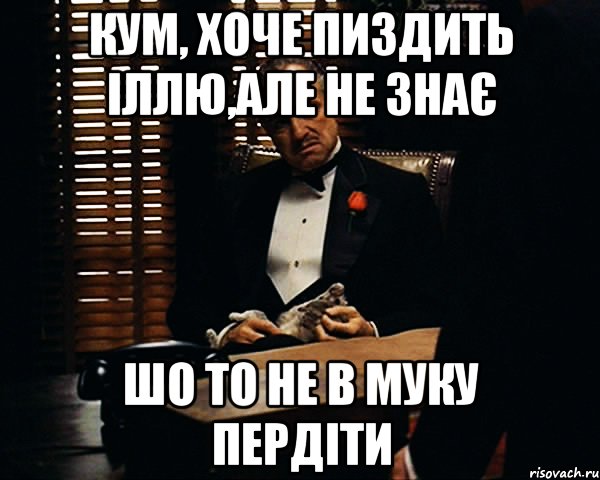 кум, хоче пиздить іллю,але не знає шо то не в муку пердіти, Мем Дон Вито Корлеоне