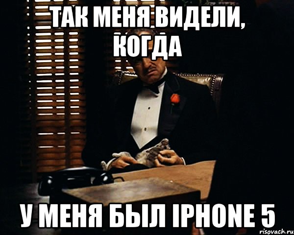 Так меня видели, когда У меня был iPhone 5, Мем Дон Вито Корлеоне