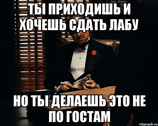 ты приходишь и хочешь сдать лабу но ты делаешь это не по гостам, Мем Дон Вито Корлеоне