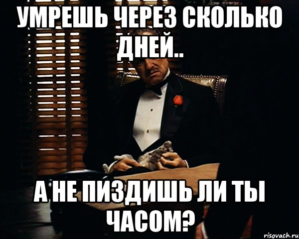 Умрешь через сколько дней.. А не пиздишь ли ты часом?, Мем Дон Вито Корлеоне