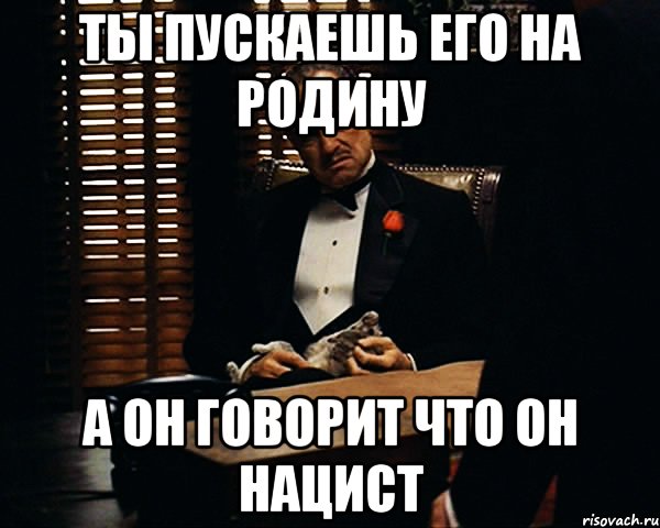 Ты пускаешь его на родину а он говорит что он нацист, Мем Дон Вито Корлеоне