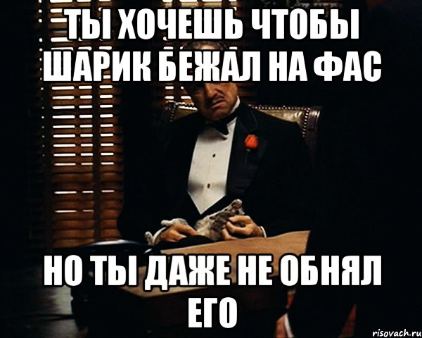 ты хочешь чтобы шарик бежал на фас но ты даже не обнял его, Мем Дон Вито Корлеоне