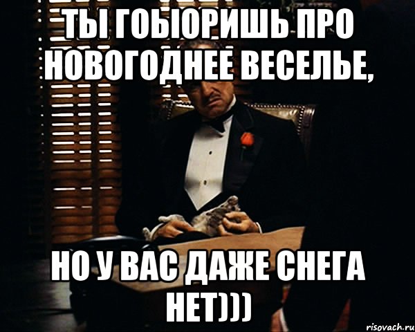 Ты гоыоришь про новогоднее веселье, но у вас даже снега нет))), Мем Дон Вито Корлеоне