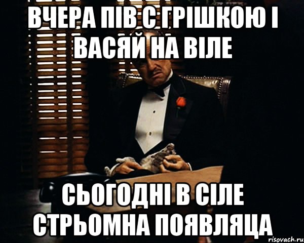 Вчера пів с Грішкою і Васяй на віле Сьогодні в сіле стрьомна появляца, Мем Дон Вито Корлеоне