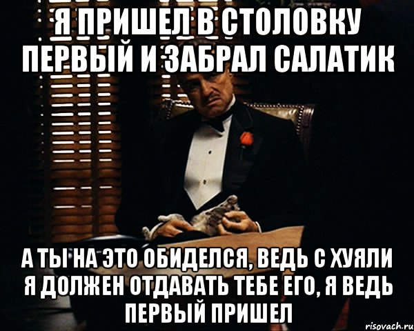 Я пришел в столовку первый и забрал салатик а ты на это обиделся, ведь с хуяли я должен отдавать тебе его, я ведь первый пришел, Мем Дон Вито Корлеоне