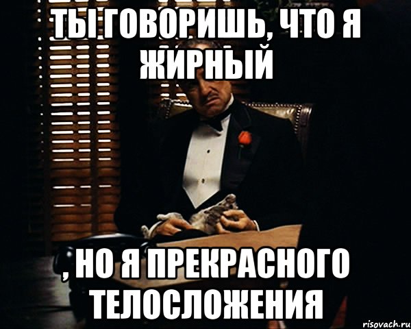 ты говоришь, что я жирный , но я прекрасного телосложения, Мем Дон Вито Корлеоне