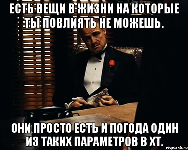 есть вещи в жизни на которые ты повлиять не можешь. они просто есть и погода один из таких параметров в ХТ., Мем Дон Вито Корлеоне