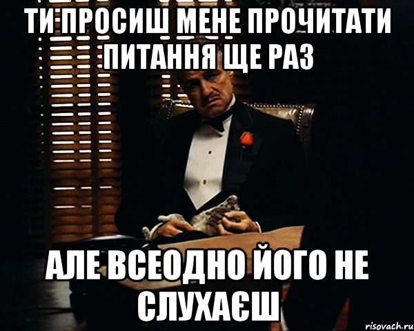 ТИ ПРОСИШ МЕНЕ ПРОЧИТАТИ ПИТАННЯ ЩЕ РАЗ АЛЕ ВСЕОДНО ЙОГО НЕ СЛУХАЄШ, Мем Дон Вито Корлеоне