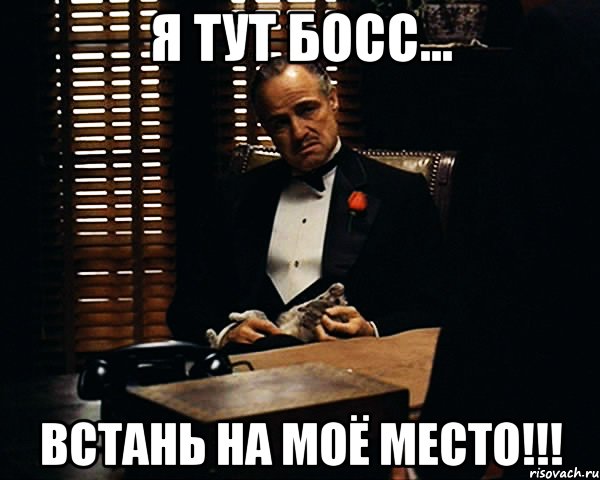 Я тут босс... ВСТАНЬ НА МОЁ МЕСТО!!!