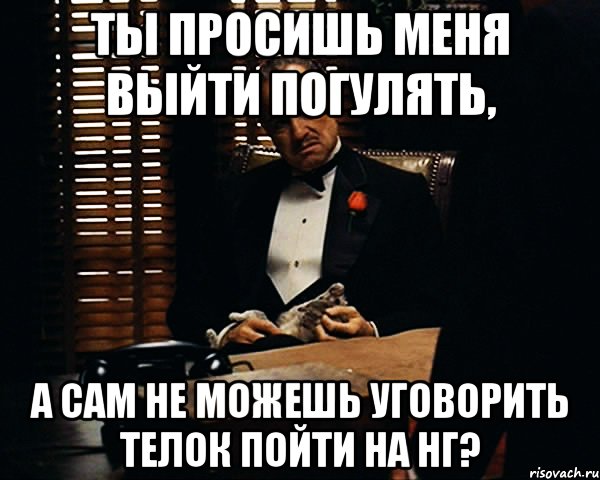 ты просишь меня выйти погулять, а сам не можешь уговорить телок пойти на нг?, Мем Дон Вито Корлеоне