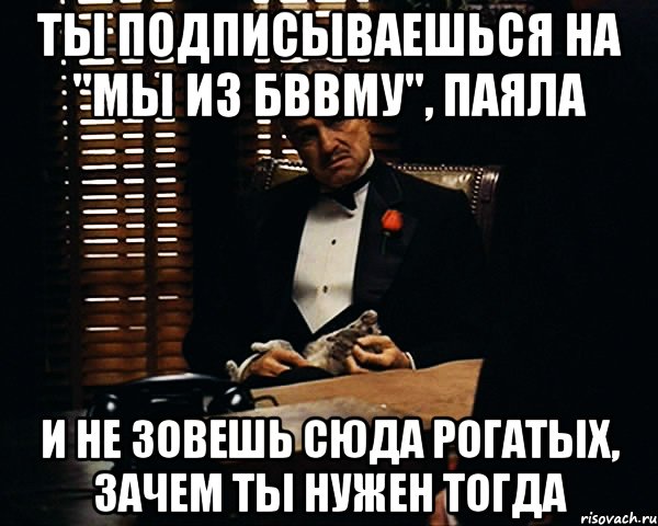 ты подписываешься на "Мы из БВВМУ", паяла и не зовешь сюда рогатых, зачем ты нужен тогда, Мем Дон Вито Корлеоне