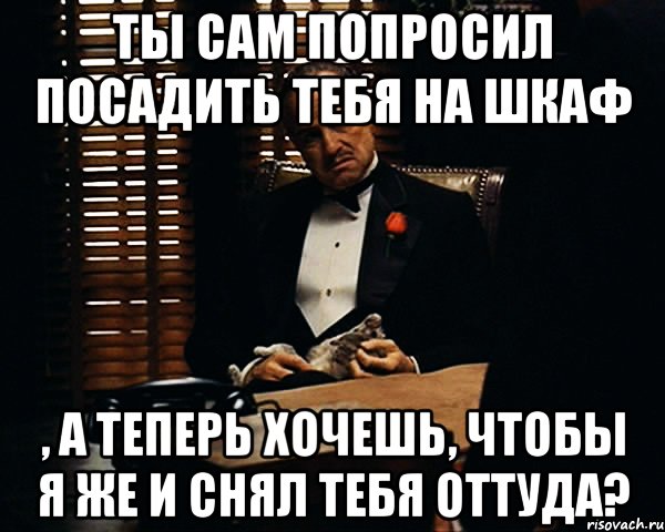 ты сам попросил посадить тебя на шкаф , а теперь хочешь, чтобы я же и снял тебя оттуда?, Мем Дон Вито Корлеоне