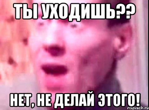 ты уходишь?? нет, не делай этого!, Мем Дверь мне запили