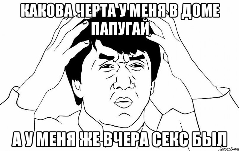 какова черта у меня в доме папугай а у меня же вчера секс был, Мем ДЖЕКИ ЧАН