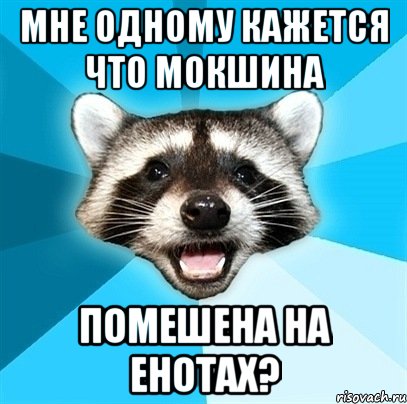 Мне одному кажется что Мокшина Помешена на енотах?, Мем Енот-Каламбурист