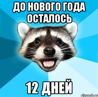 До нового года осталось 12 дней, Мем Енот-Каламбурист