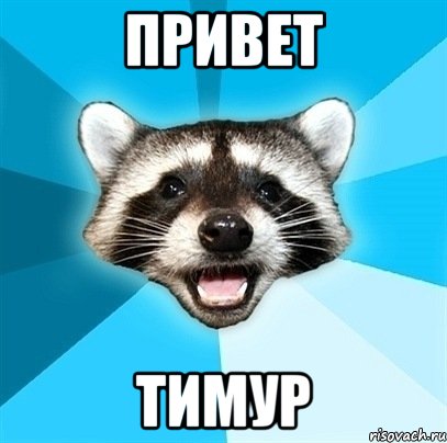 привет Тимур