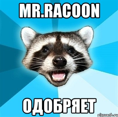 Mr.Racoon Одобряет, Мем Енот-Каламбурист