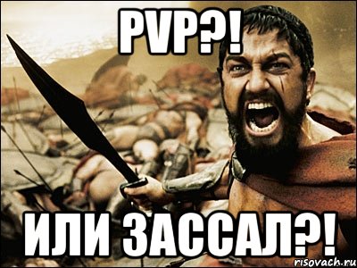 PVP?! ИЛИ ЗАССАЛ?!, Мем Это Спарта